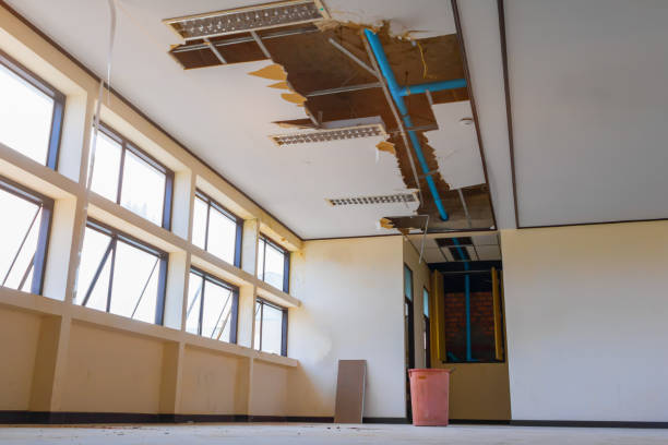 Best Water damage restoration near me  in Mount Morris, IL