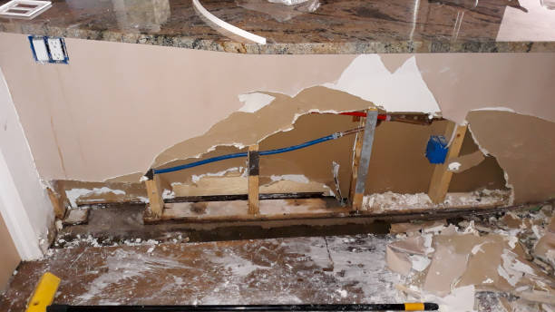 Best Water damage mitigation services  in Mount Morris, IL