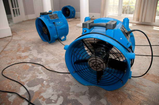 Professional Water damage restoration in Mount Morris, IL