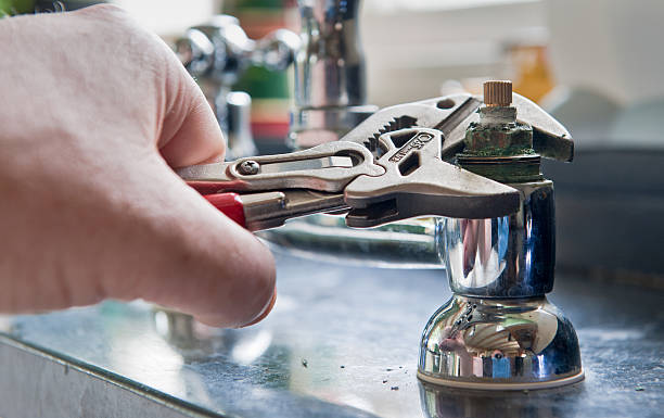 Best Water damage contractors near me  in Mount Morris, IL