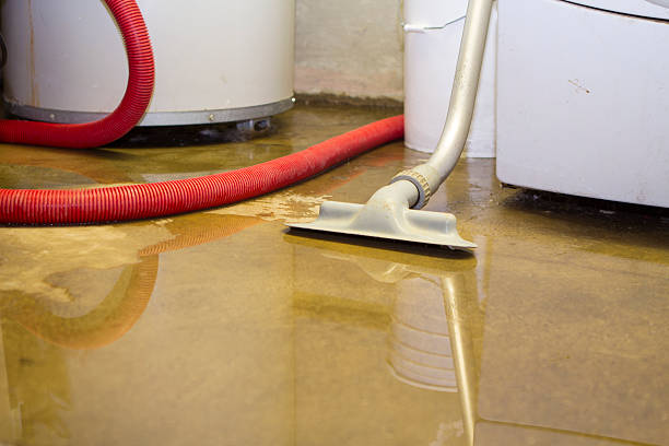 Local water damage restoration in Mount Morris, IL