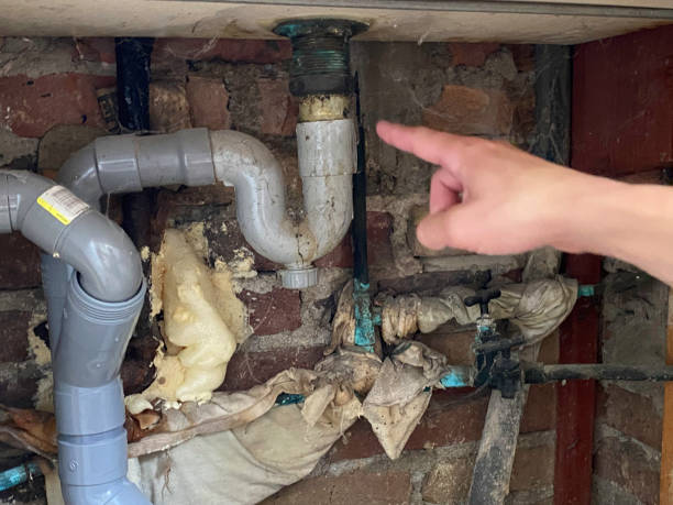 Best Local water damage restoration  in Mount Morris, IL
