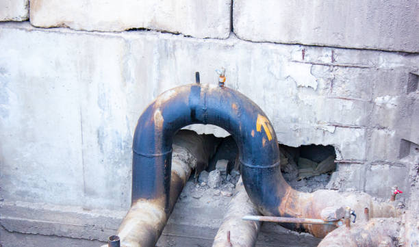 Best Flooded house restoration  in Mount Morris, IL
